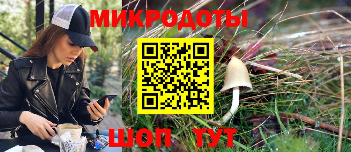 Псилоцибиновые грибы Psilocybe Кызыл