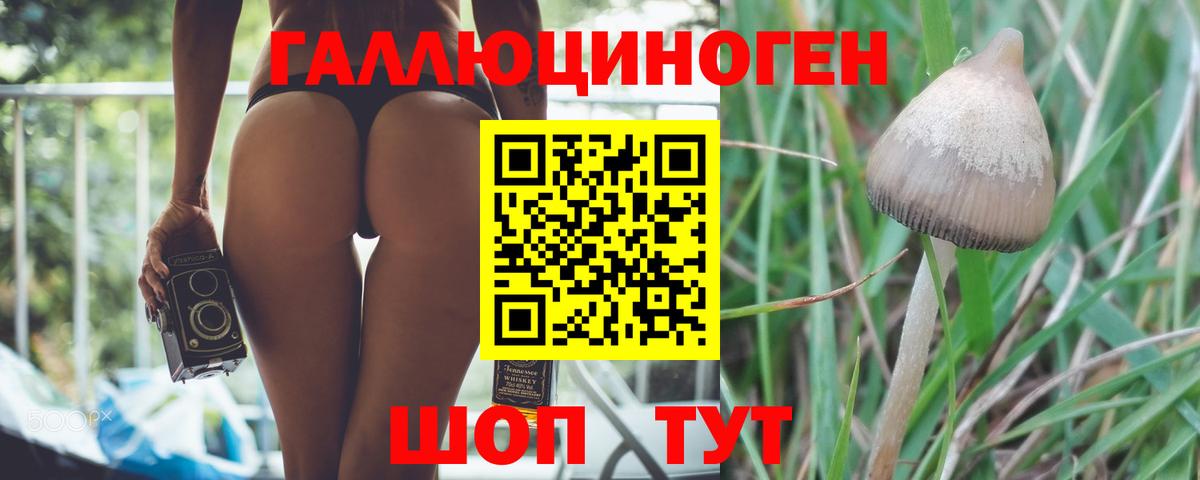 Кызыл  Псилоцибиновые грибы мицелий  Псилоцибиновые грибы ЛСД  как найти   Вход с VPN 